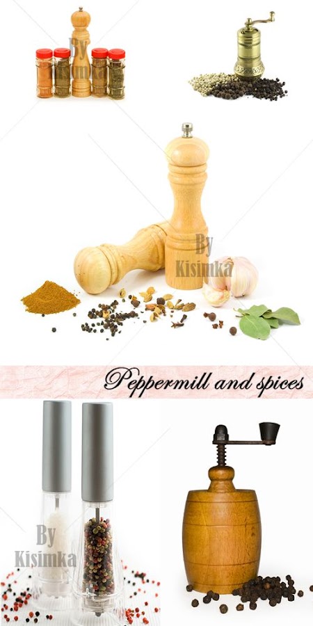 Stock Photo: Peppermill and spices