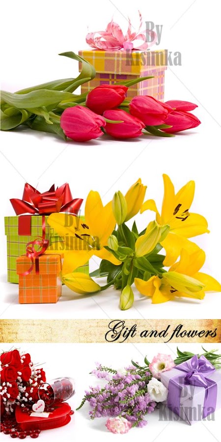 Stock Photo: Gift and flowers