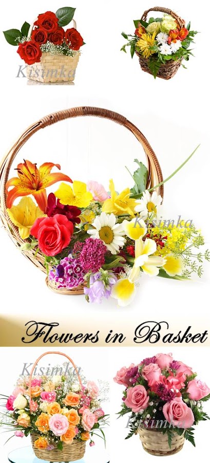 Stock Photo: Flowers in Basket