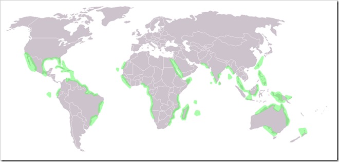 800px-World_map_mangrove_distribution
