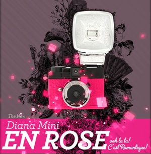 diana-mini-en-rose