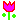 [DIMG0828[2].gif]