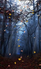 Download Dark Autumn Forest L Wallpaper Google Play Apps Agz4qymtyge6 Mobile9