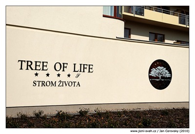 strom_zivota_napis