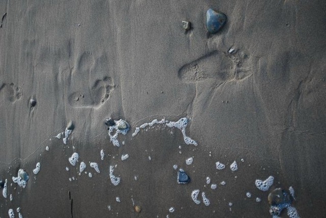 [footprints imprint[3].jpg]
