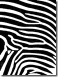 zebra_print_comforterLarge