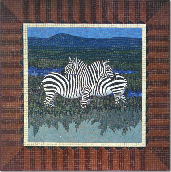 zebras sara baldwin