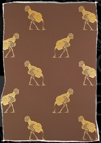 [ostrich brown[2].png]