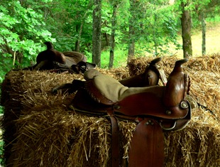 king wilkie's saddle