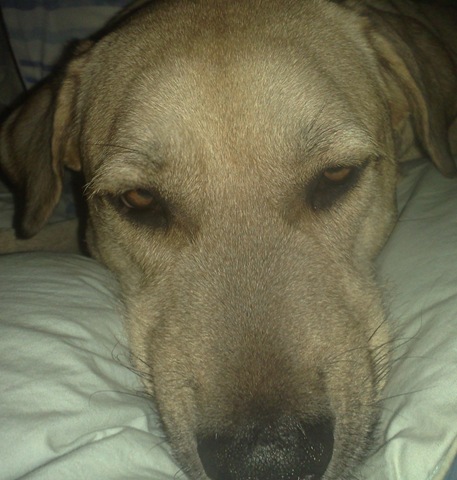 [2009-06-17_00-46-50_17062009646-001[2].jpg]