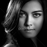 the Beauty by Ivan Lee -  