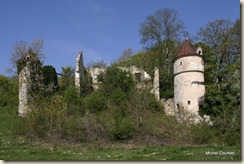 Ruines maison forte