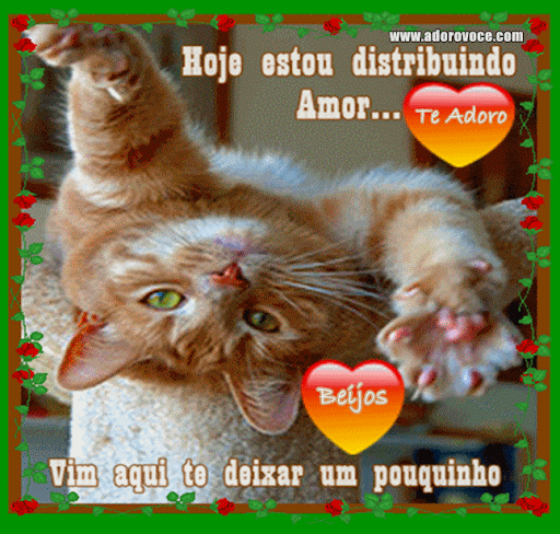 carinho.gif