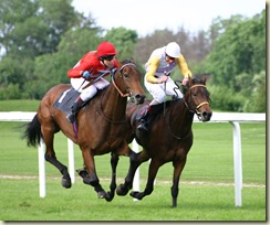 Horse-racing-4