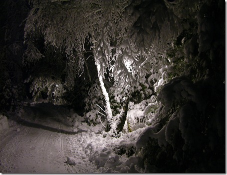 Snö 2009 013