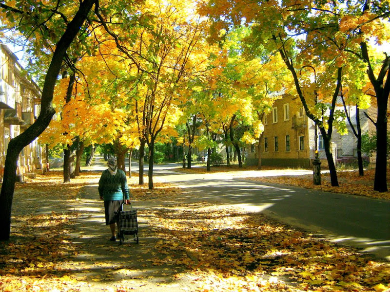 Осенняя 1 3. Осенняя 1 3