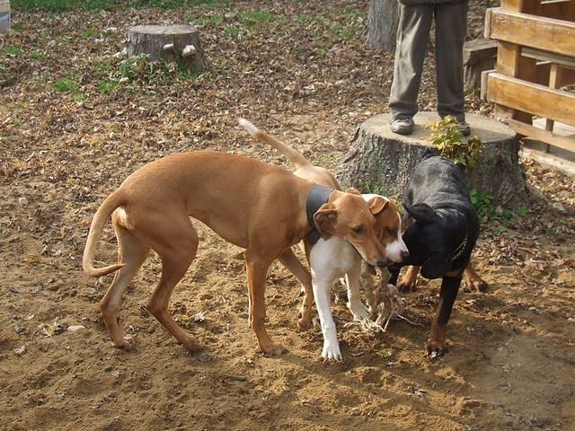 DSCF3179.JPG