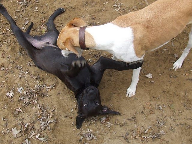 DSCF3212.JPG