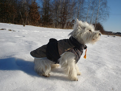 DSC00087.JPG