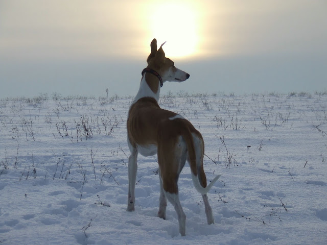 DSCF3894.JPG