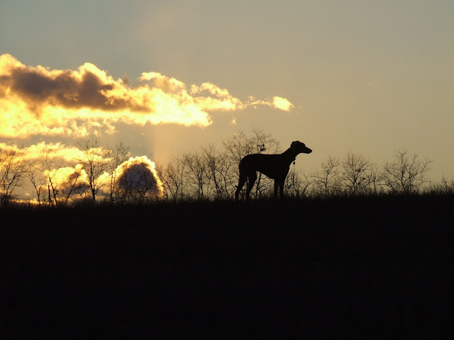 DSCF4282.JPG