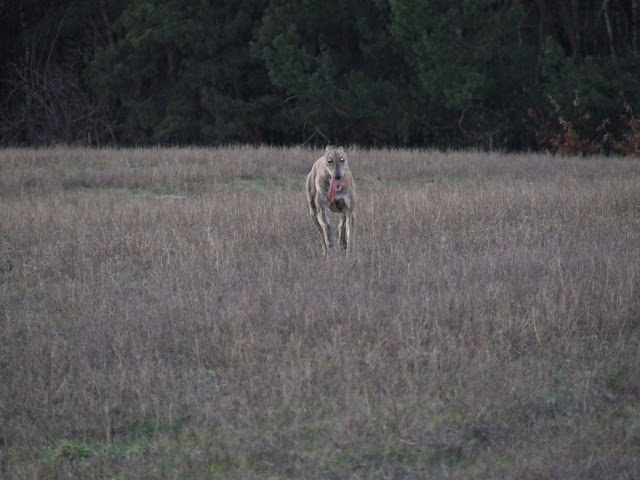 DSCF4288.JPG