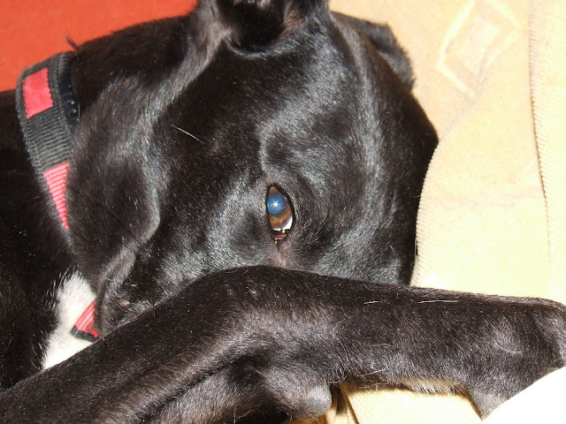 DSCF4324.JPG