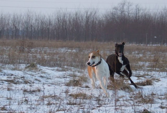 DSCF4608.JPG