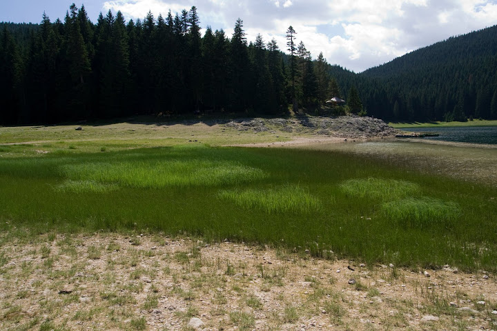 IMG_8567.jpg