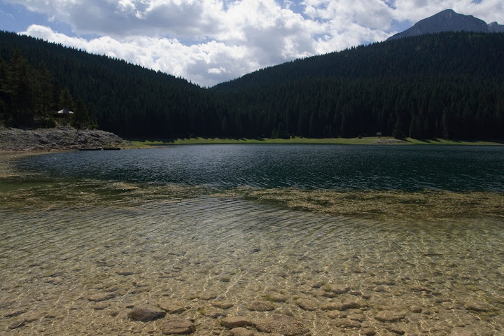 IMG_8573.jpg