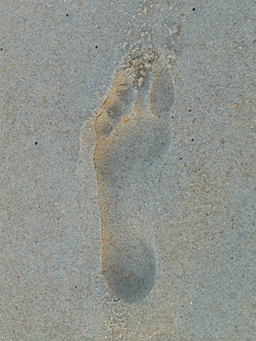 [footprint[4].jpg]