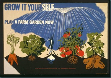 victory garden poster H