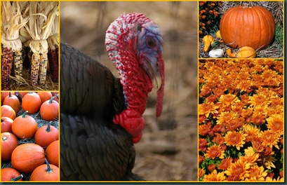 thanksgiving collage
