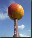 alabama peach tower