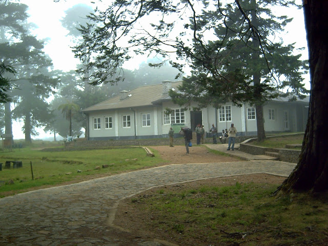 PICT0940.JPG
