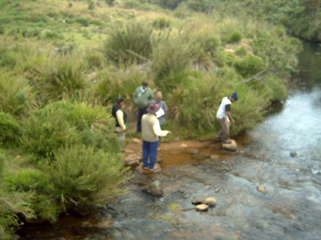 PICT0870.JPG