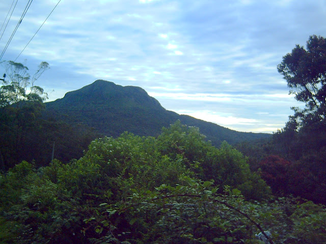PICT0366.JPG
