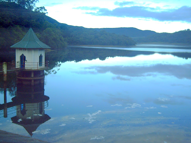 PICT0371.JPG