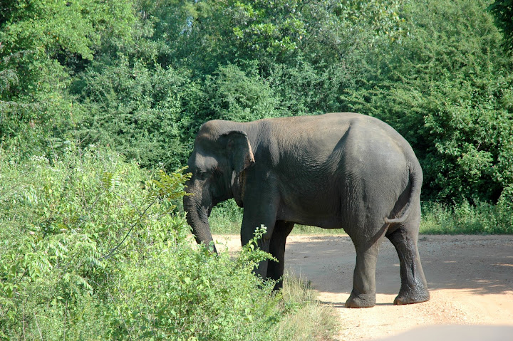 DSC_0369.JPG