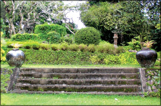 z_p-13-Garden%2520of%2520Brief-8.jpg