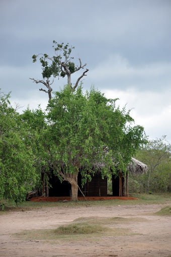DSC_0712.JPG