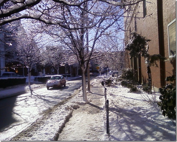 Beautiful snowy February morning, St. Peter St.