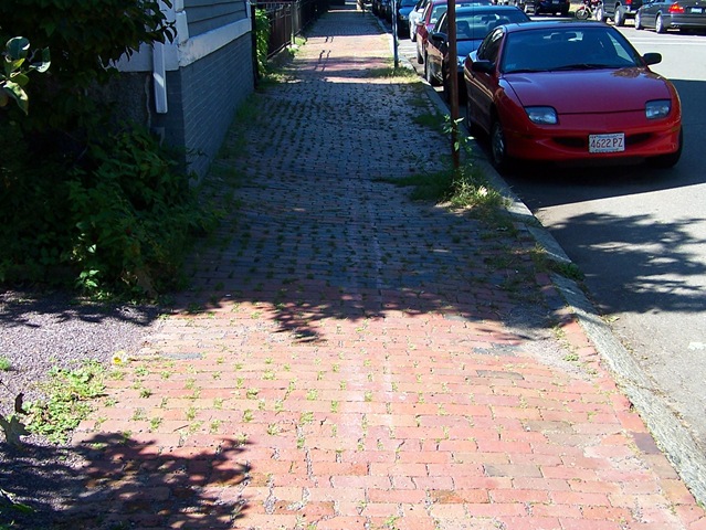 [SCOD Sidewalk Survey 2008-09-17 004[3].jpg]