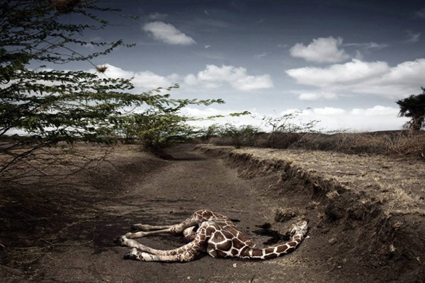 Best Photos From World Press Photo Contest 2009_1
