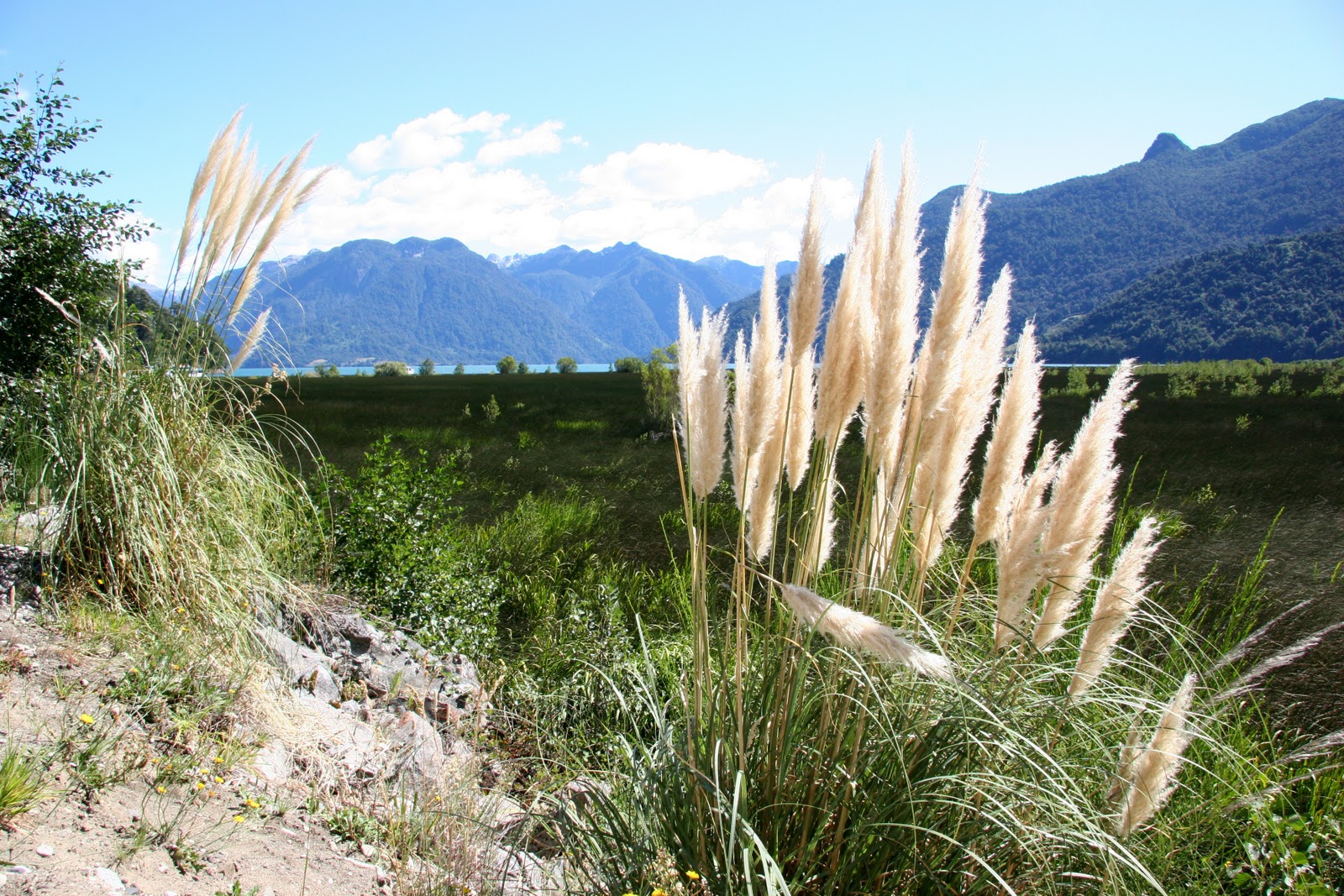 DelightfulNature_143.jpg