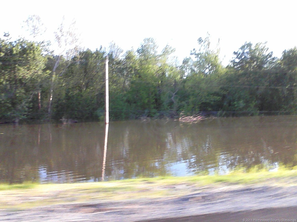 [2011-Flood-by-Rt-13-near-Murphysboro[2].jpg]