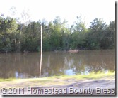 2011 Flood by Rt 13 near Murphysboro