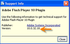 flash palyer version info