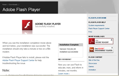 flash player installed