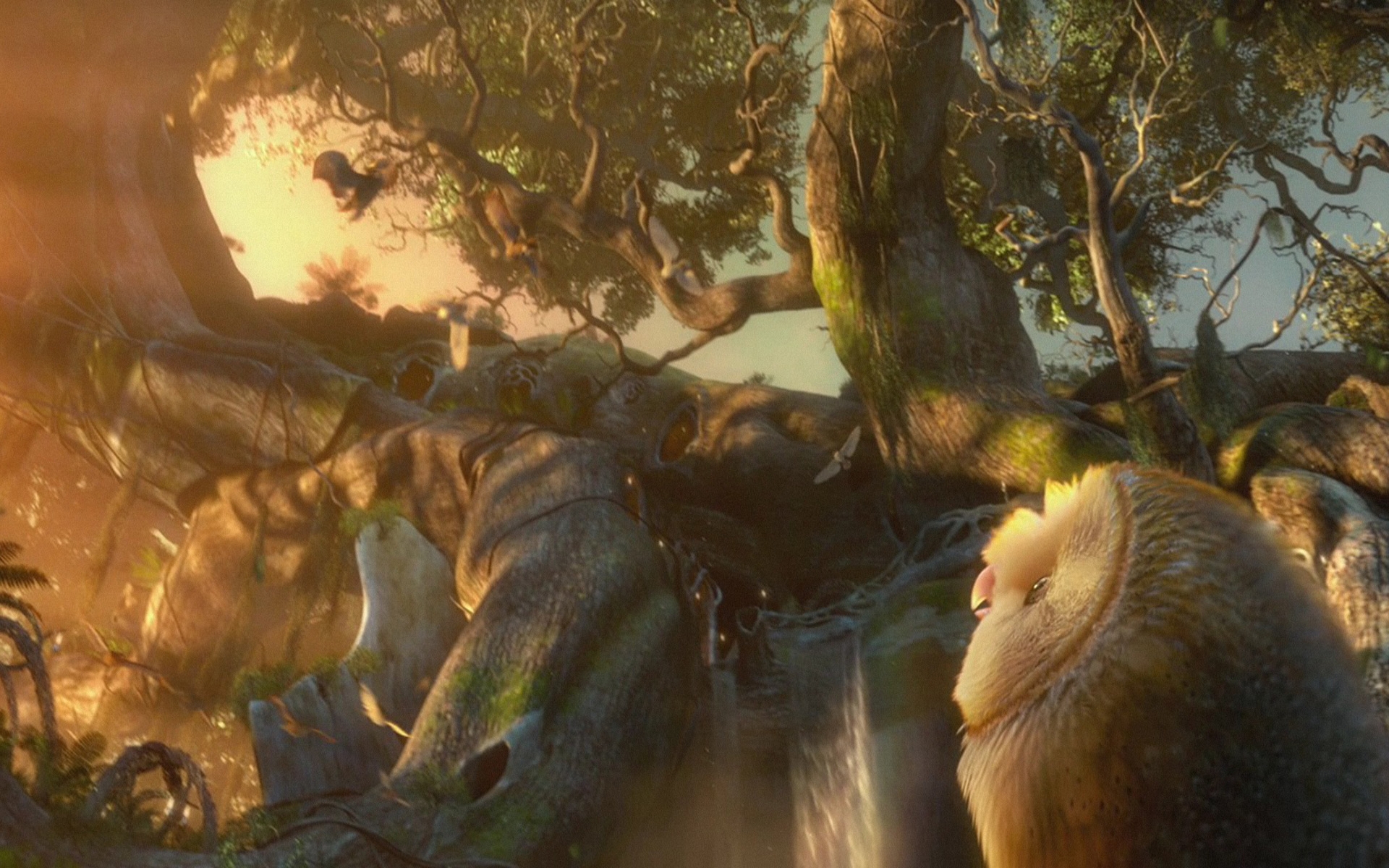 Prime Walls: Legend of the Guardians Wallpapers